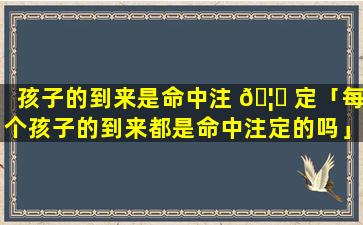 孩子的到来是命中注 🦋 定「每个孩子的到来都是命中注定的吗」